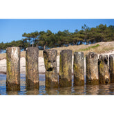 Buhnen - Hiddensee