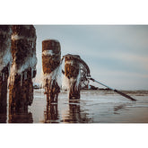 Eisfischers Fangnetz auf Wustrower Buhnen