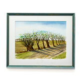 Weiden am Weg zum Hohen Ufer