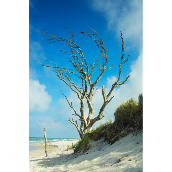 Weststrand