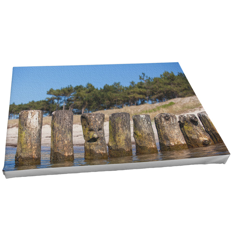 Buhnen - Hiddensee