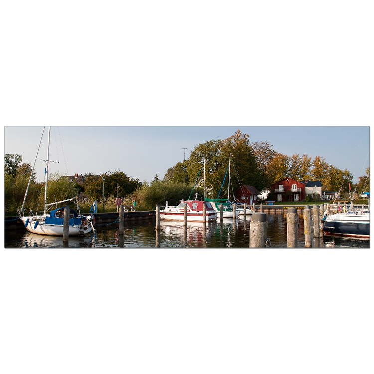 Hafen Born