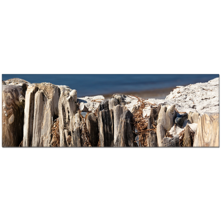 Strand Hiddensee