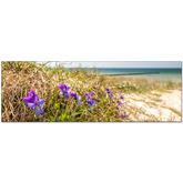 Strand Hiddensee
