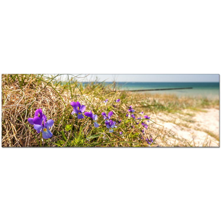 Strand Hiddensee
