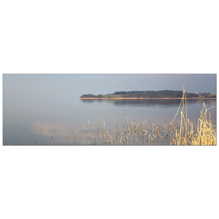 Boddenlandschaft