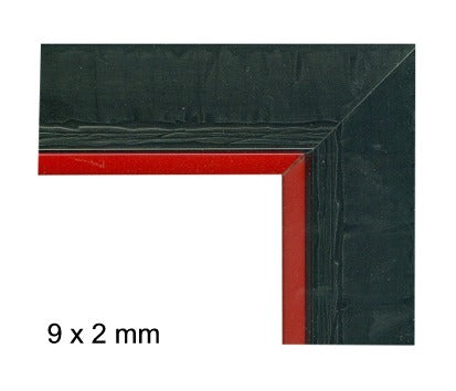Einlegeleiste 050129*