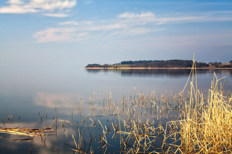 Foto auf Leinwand - Boddenlandschaft