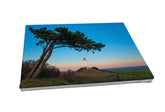 Foto auf Leinwand - Hiddensee Dornbusch