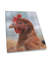 Foto auf Leinwand - Huhn