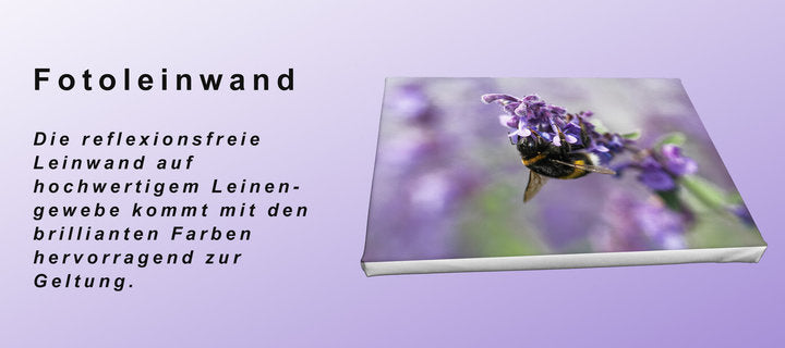 Foto auf Leinwand - Zingst Old Bridge