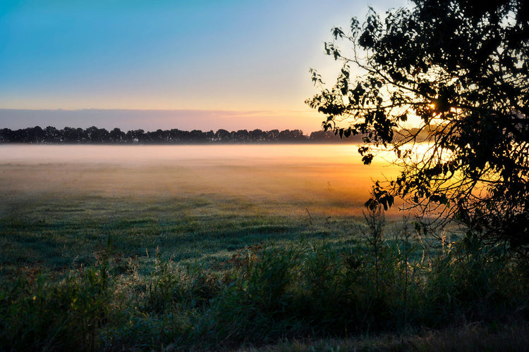 Foto auf Leinwand - Mecklenburg-Vorpommern, Dierhagen