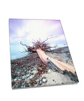 Foto auf Leinwand - Rügen