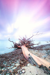 Foto auf Leinwand - Rügen