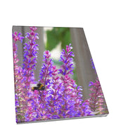 Foto auf Leinwand - Salvia Ziersalbei