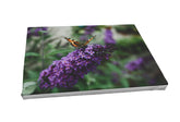 Foto auf Leinwand - Schmetterlingsflieder