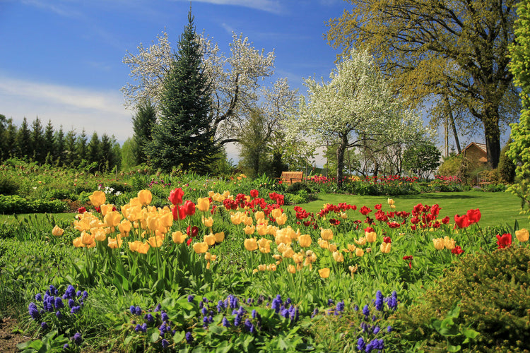 Foto auf Leinwand - Stauden Garten Estland