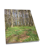 Foto auf Leinwand - Wald