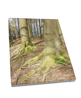 Foto auf Leinwand - Wald