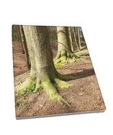 Foto auf Leinwand - Wald