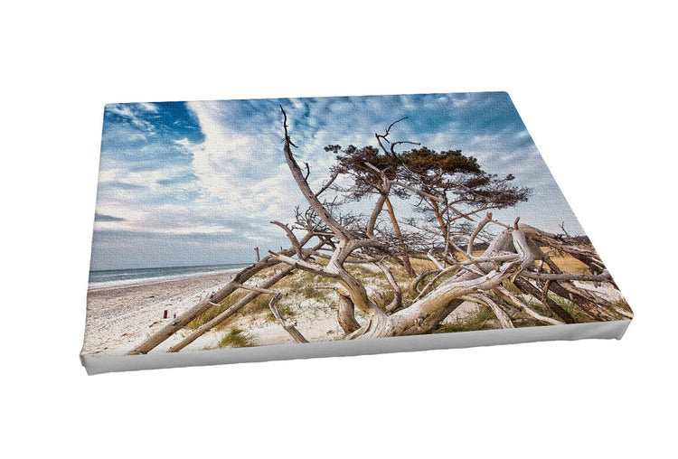 Foto auf Leinwand - Weststrand