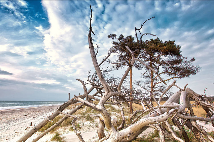 Foto auf Leinwand - Weststrand