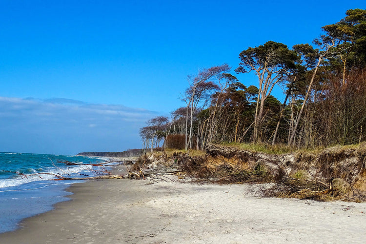 Foto auf Leinwand - Weststrand