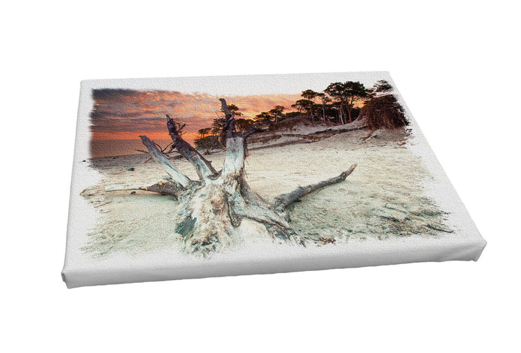 Foto auf Leinwand - Weststrand mit Vignette