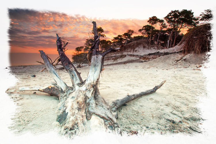 Foto auf Leinwand - Weststrand mit Vignette
