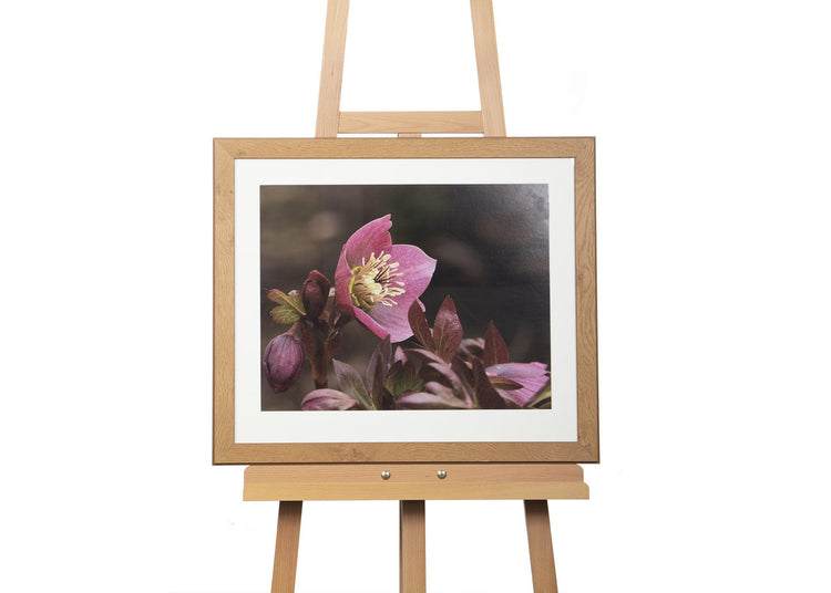 Gerahmte Bilder - Fotografie - Falk-David Palusalu - 60*50cm