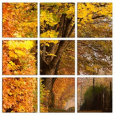Fotoleinwand - Mehrteiler - Herbststimmung