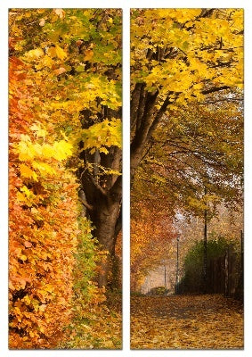 Fotoleinwand - Mehrteiler - Herbststimmung