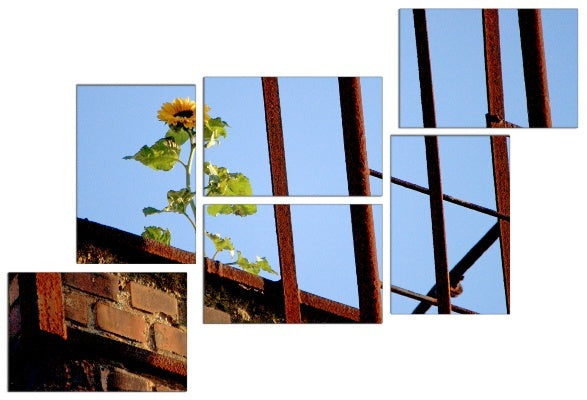 Fotoleinwand - Mehrteiler - Sonnenblume