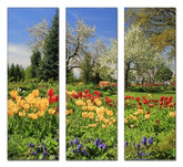 Fotoleinwand - Mehrteiler - Staudengarten Estland (Palusalu Aiad)