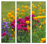 Fotoleinwand - Mehrteiler - Staudenvielfalt