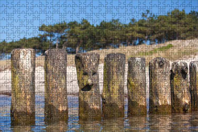 Fotopuzzle - Buhne mit Gesicht