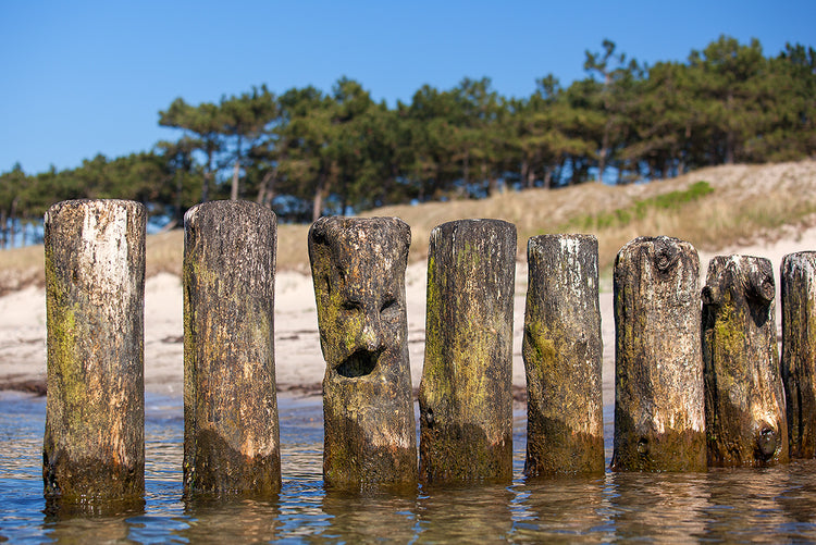Fotopuzzle - Buhne mit Gesicht