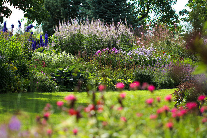Fotopuzzle - Staudengarten Palusalu