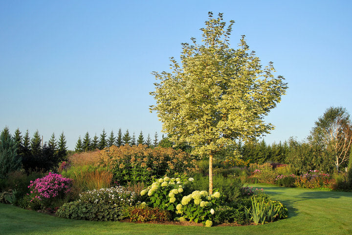 Fotopuzzle - Staudengarten Palusalu