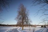 Fotopuzzle - Winterlandschaft in Estland