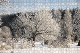 Fotopuzzle - Winterlandschaft in Estland