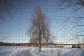 Fotopuzzle - Winterlandschaft in Estland