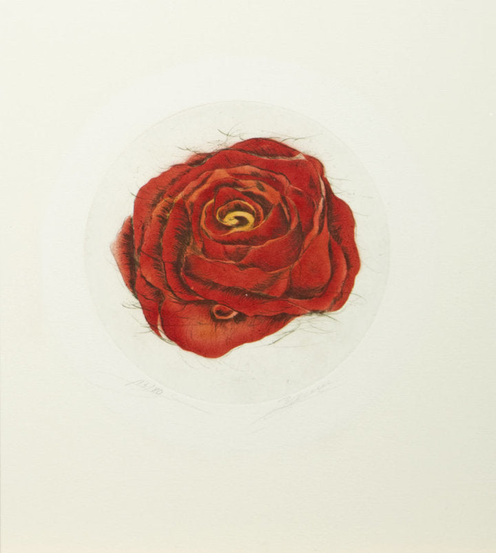 Gerahmte Bilder - Radierung - Bernd Lehmann - 25,5*28,5cm
