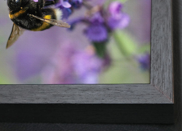 Foto auf Leinwand - Hiddensee Dornbusch