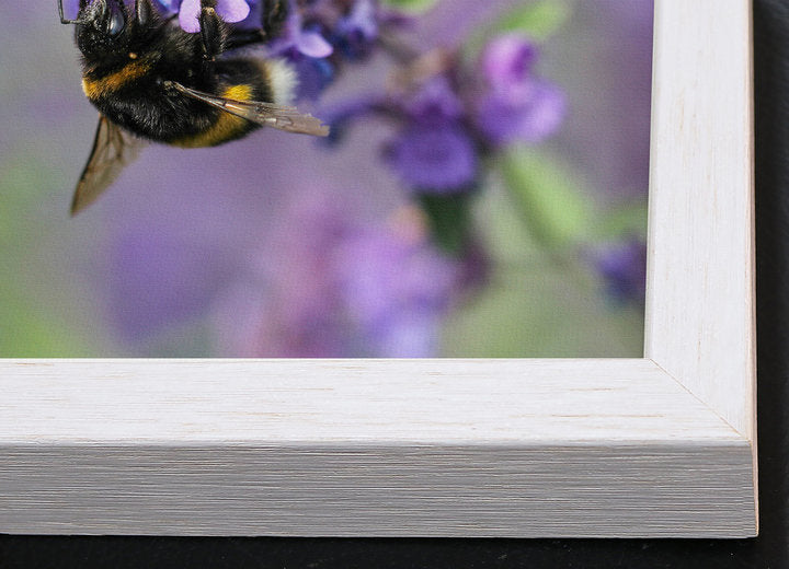 Foto auf Leinwand - Sassnitz