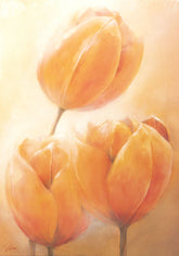 Kunstdruck - Alicia Sloan - 50*70 cm