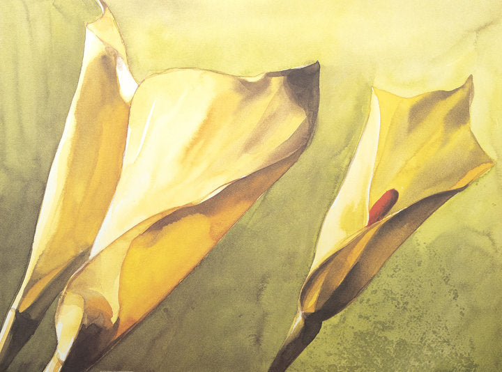 Kunstdruck - El Bedoui - 80*60cm