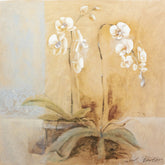 Kunstdruck - Gabor Barthez - 50*50cm