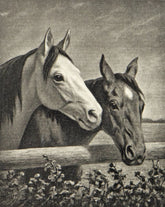 Kunstdruck - H.Sperling - 30*40cm