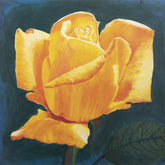 Kunstdruck - Redin - 50*50cm